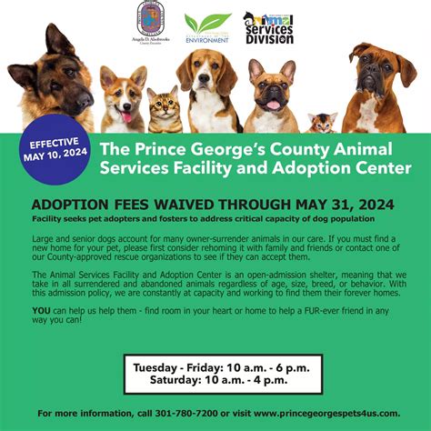 Prince george's county animal shelter - Bowie Animal Control Facility (15901 Excalibur Road, Bowie) When submitting a license application for Prince George’s County, the following must be include: Copy of the spay/neuter certificate (if applicable), Check or money order payable to Prince George’s County in the amount of $10 for altered animals or $25 for unaltered animals.